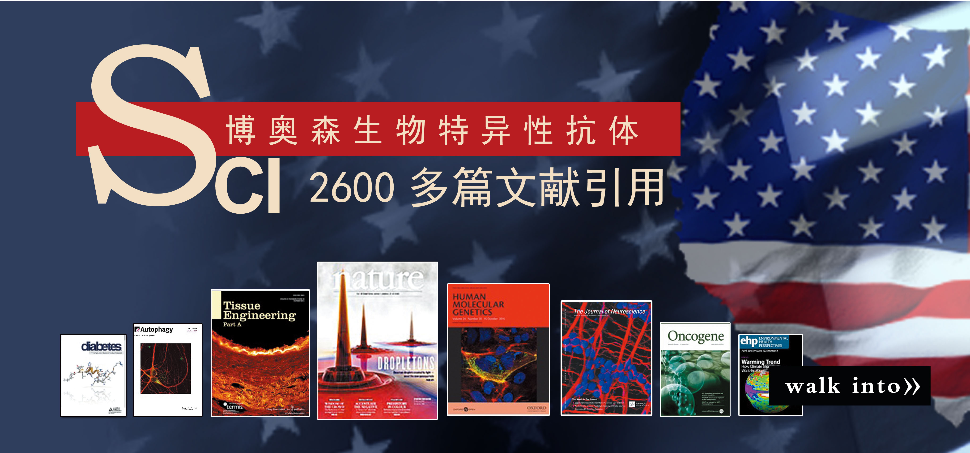 博奥森文献